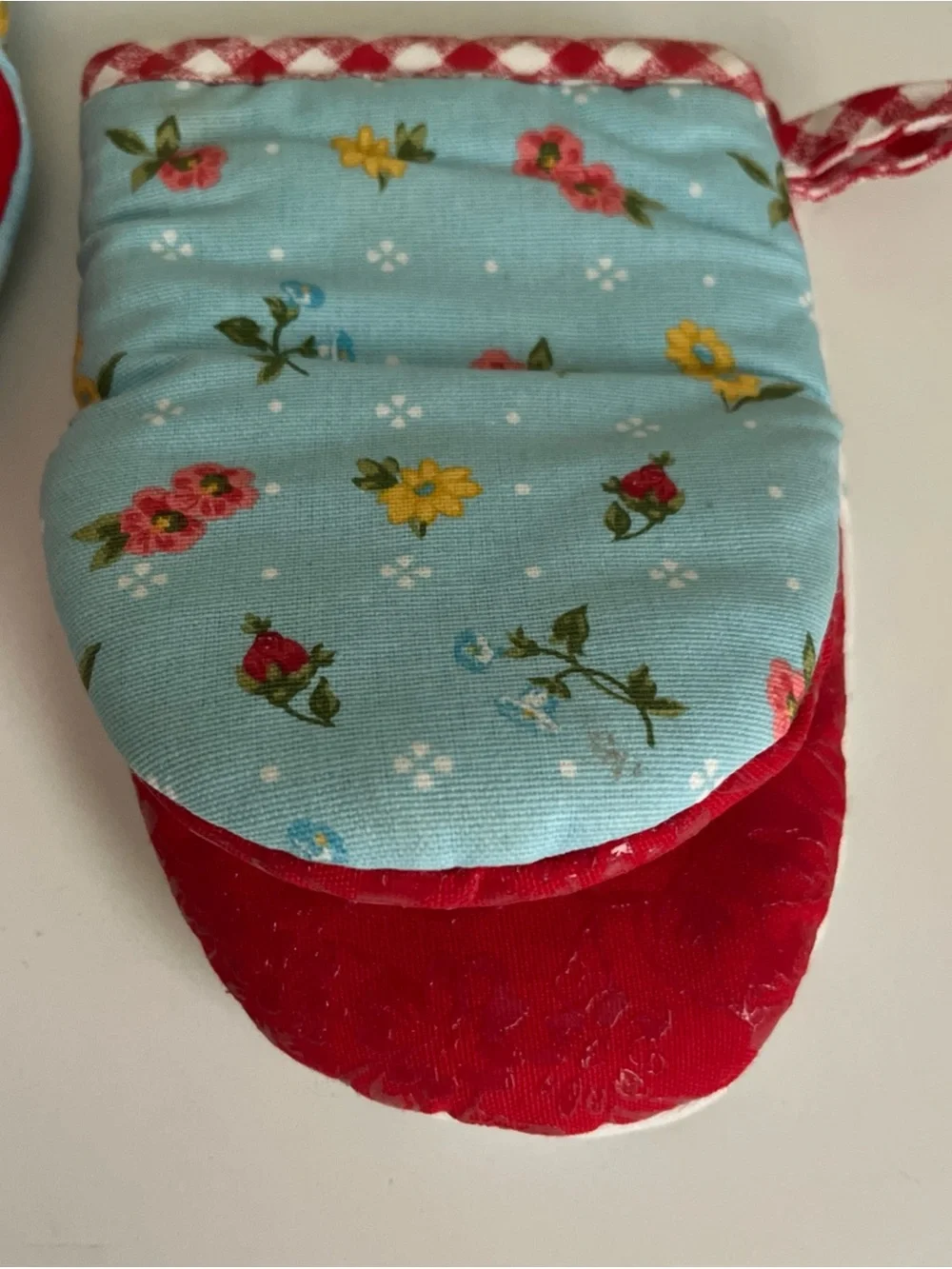 Pioneer Woman Sweet Rose Mini Oven Mitt Set Floral Gingham Pattern 2 Piece New